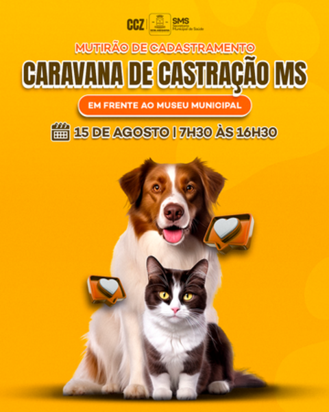 Left or right left or right caravana de castrac a o ms 01