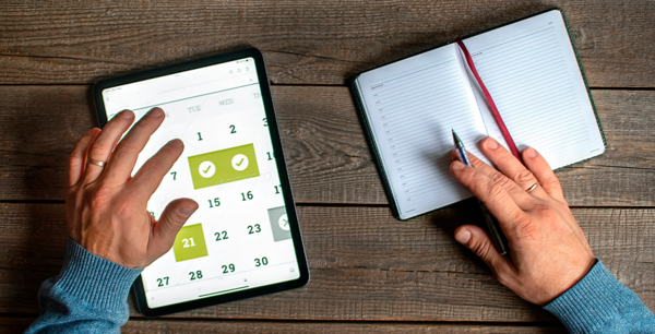 Left or right captura de tela 2026 01 07 102156